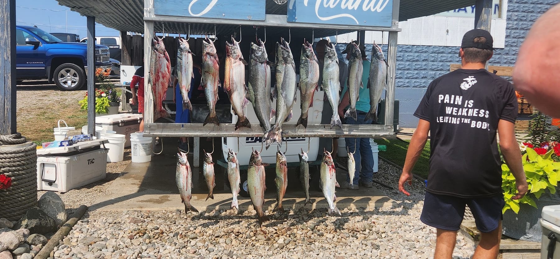A rack of fish from the charter